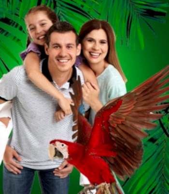 Anne ve Baba + 1 Çocuk